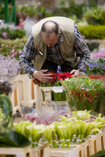 MIN RUNGIS-Fleurs-89.jpg
